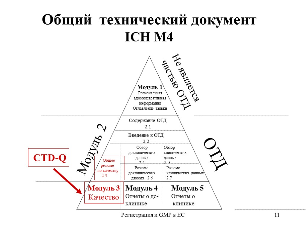 Регистрация и GMP в ЕС 11 Общий технический документ ICH М4 Модуль 1 Региональная